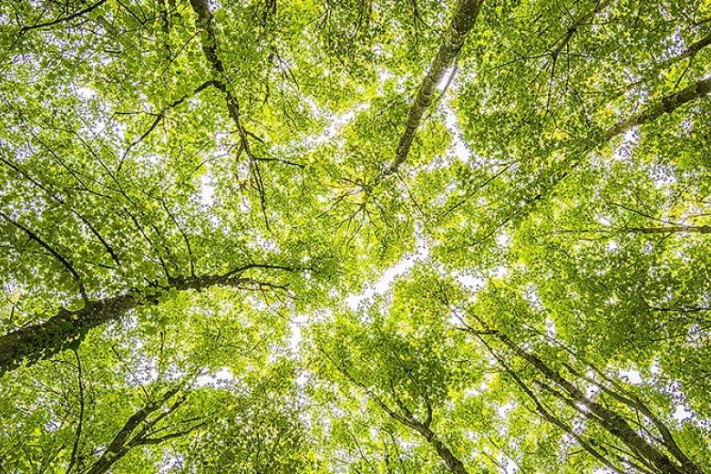 Sustainability of materials