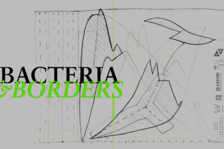 Bacteria and borders klein