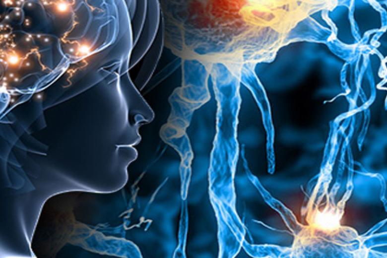 neuroeconomics