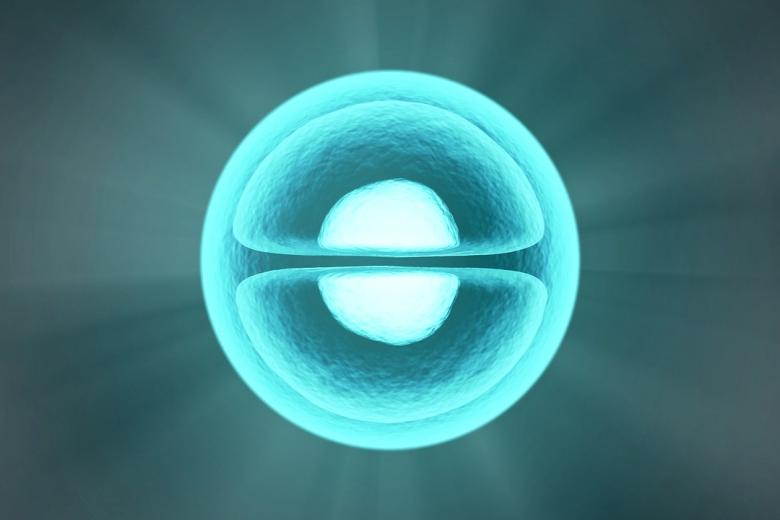 Biotechnology blog Maier Pugatch