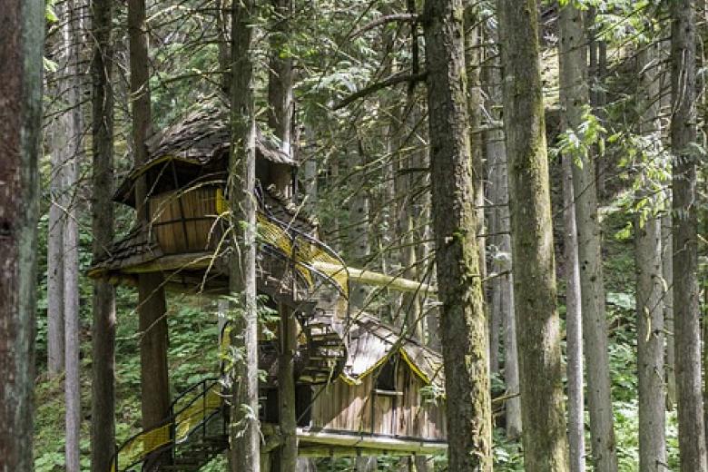tree house
