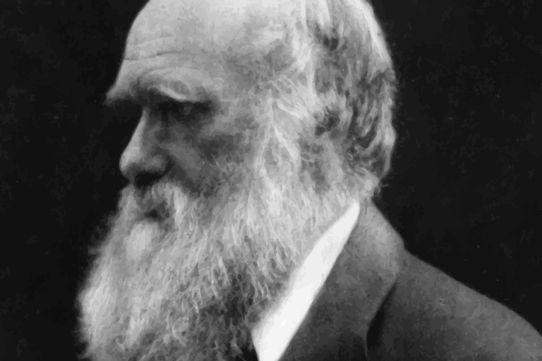 Darwin