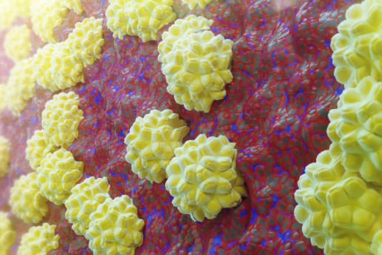 Chlamydia
