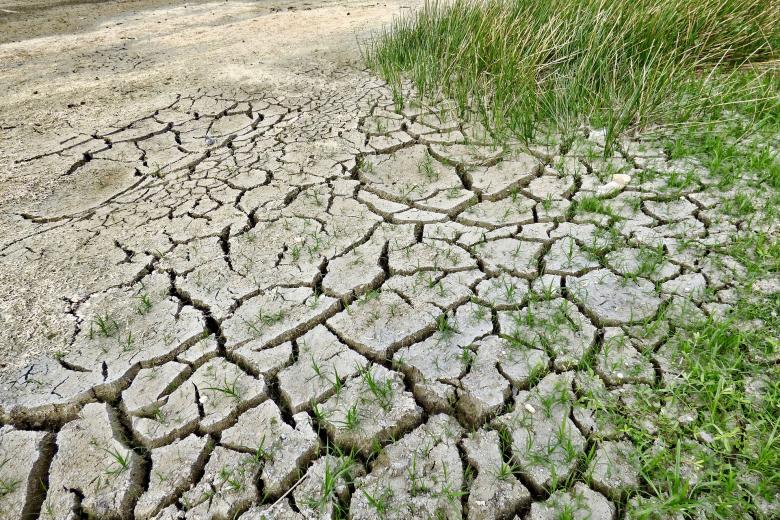 Climate change