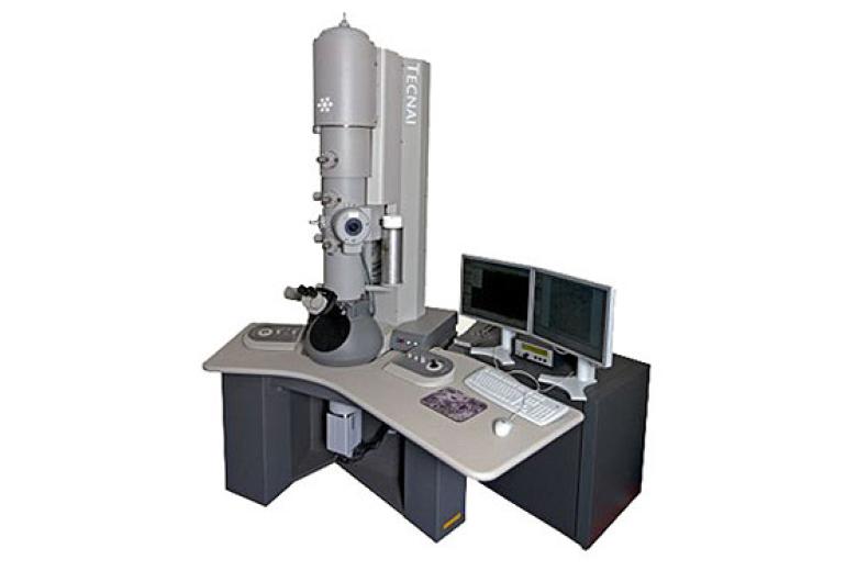 Combining-the-iCorr-fluorescence-light-microscope-module-and-the-FEI-Tecnai-electron-microscope