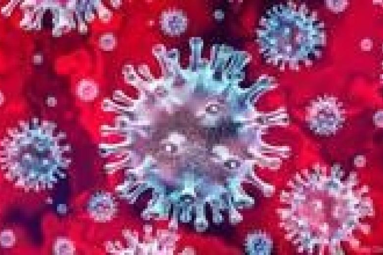 corona virus