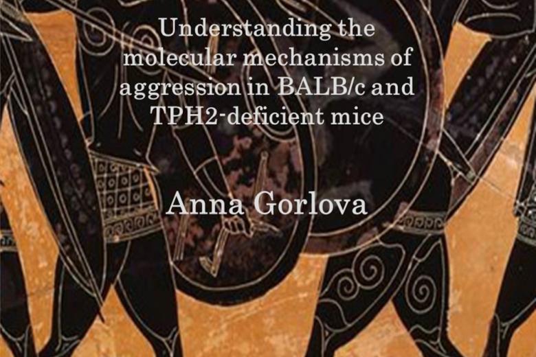 cover_anna_gorlova.jpg