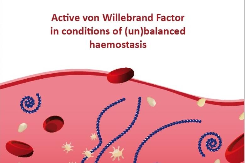 vandervorm