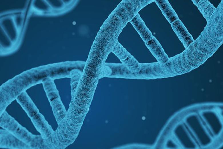 DNA