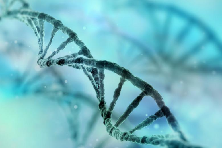 DNA streng genetica