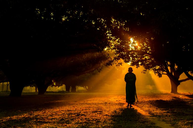 Person standing in het woods alone