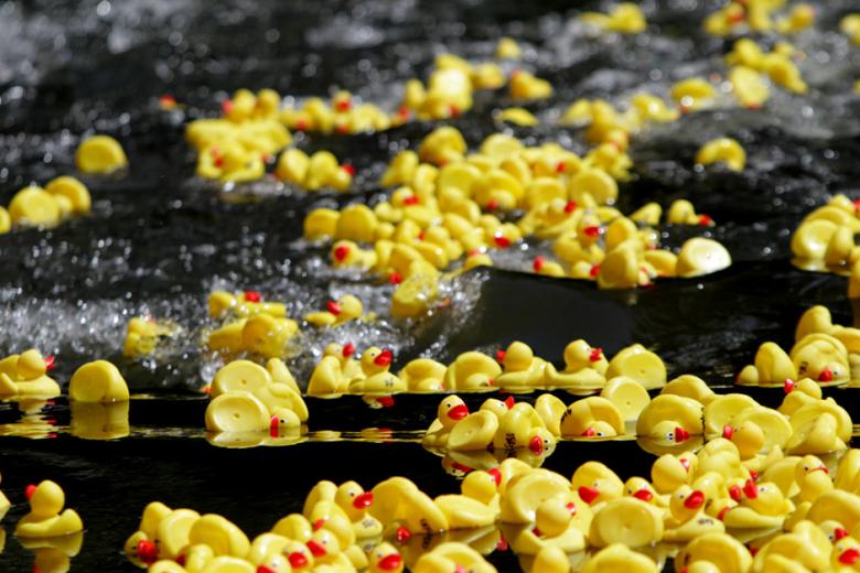 Duckrace 2018