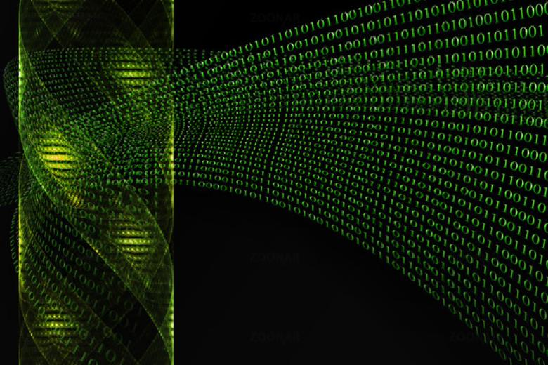 Binary code DNA