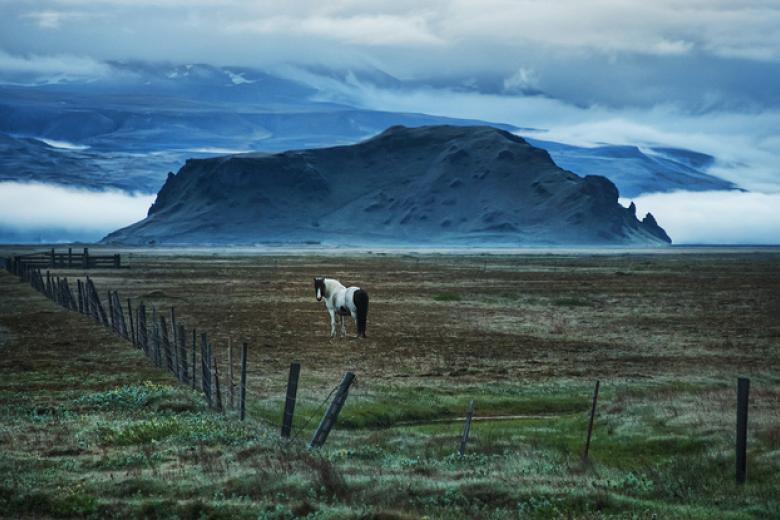 Ecological Function Paradigm of Ownership_ Law Blogs Maastricht