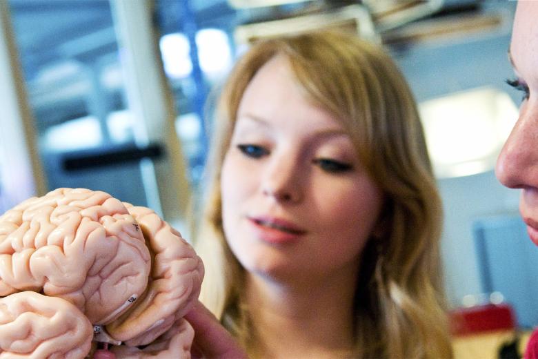 Master Neuropsychology