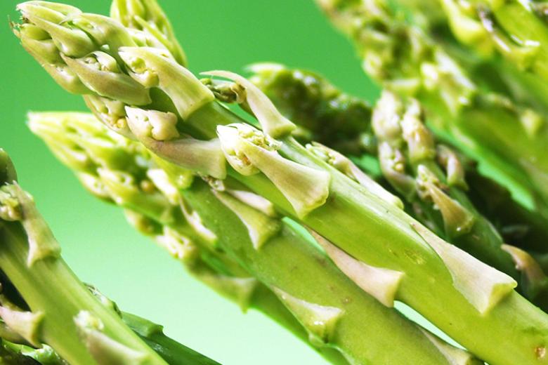 FCCV - Project - Asparagus from Limburg