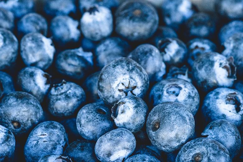 FCCV - Project - Blueberry