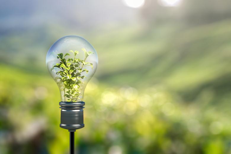 Master Health Food Innovation Management: light bulp with green plant sprout inside