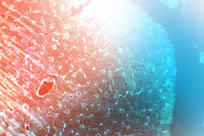 Department of Molecular Genetics header