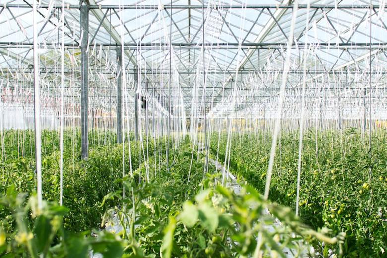 Green house
