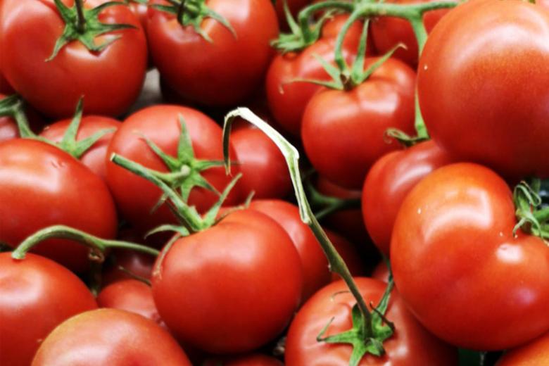 Tomatoes