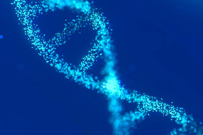 Systems Biology
