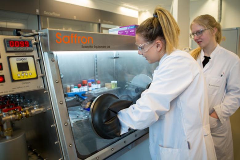 Maastricht Science Programme