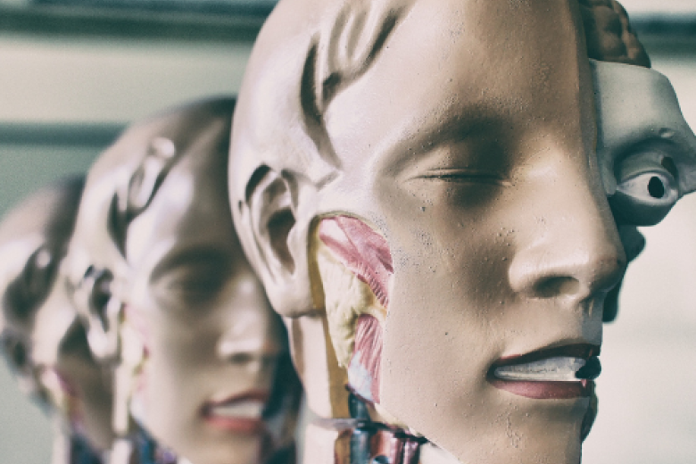 gezondheidsuniversiteit: leren over je lijf neurologie