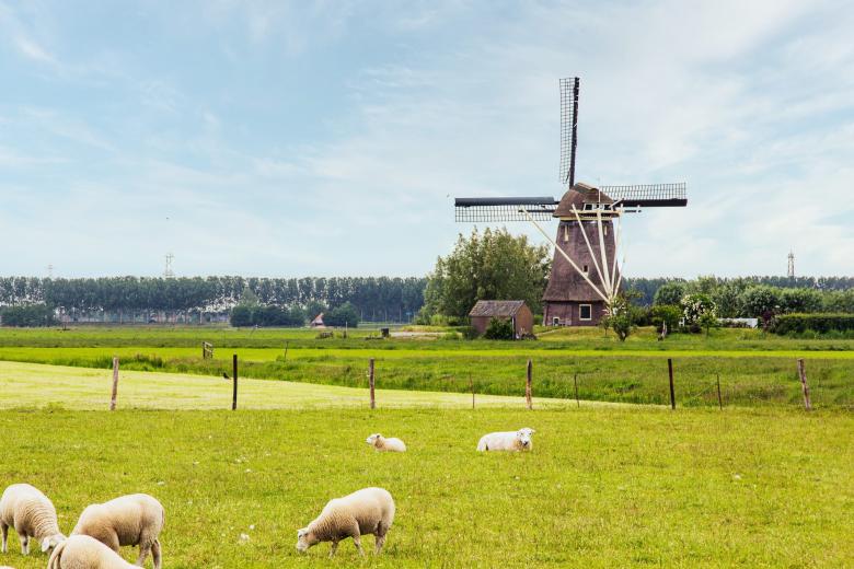 grensbewoner_centraal_en_grensbestuurder_meer_positie.jpg