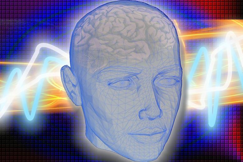 head and brain