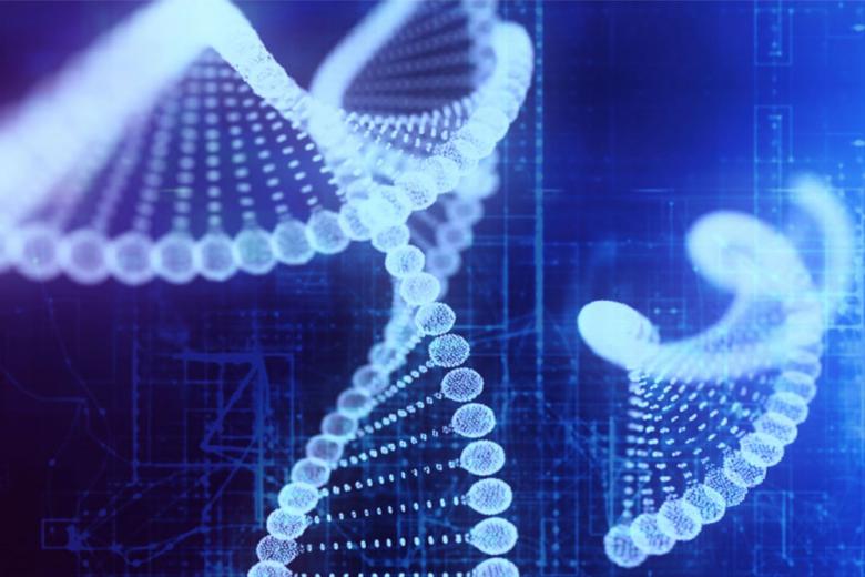 Research lines Maastricht Centre for Systems Biology presented