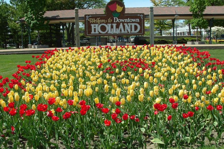 Kiesrecht Nederlanders_tulips