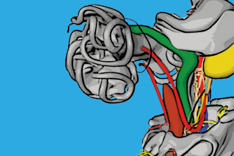 kruepunga