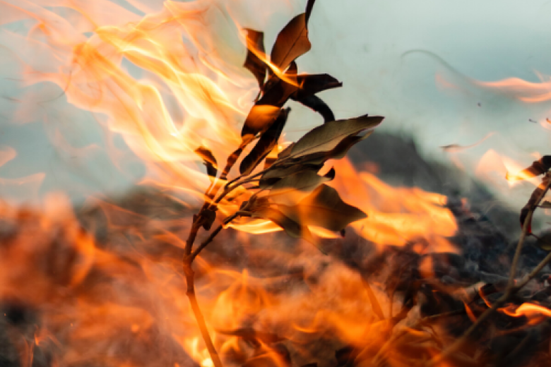 brand