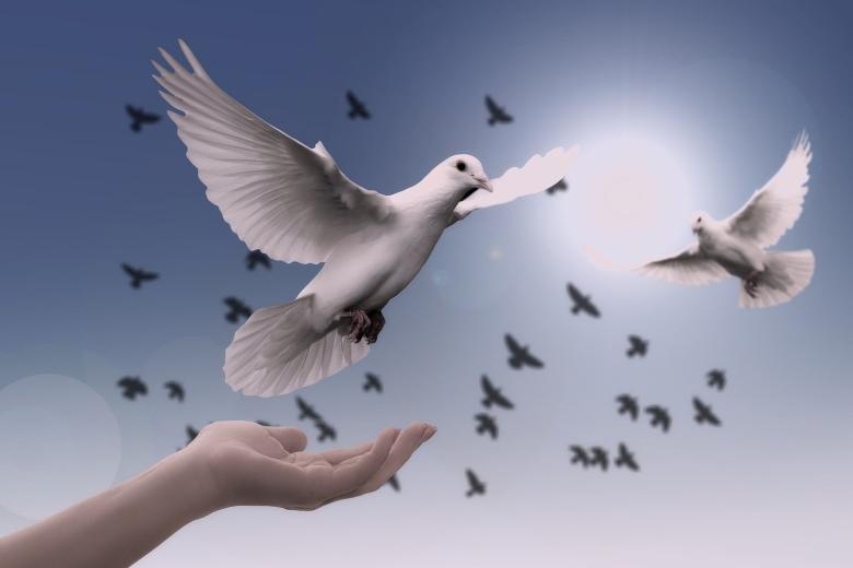 law_blog_agustin_parise_-_peace