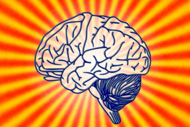 law_brain-building_a_second_brain_bram_akkermans
