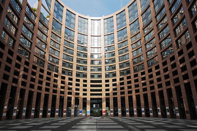 law_european-parliament_blog_merijn_chamon