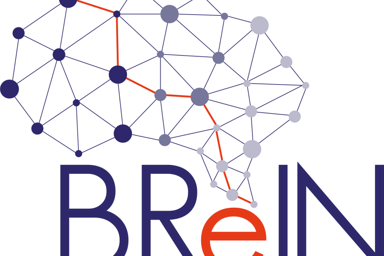 Logo BReIN small