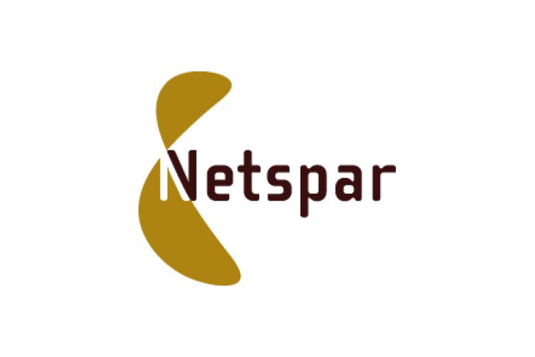 netspar_klein