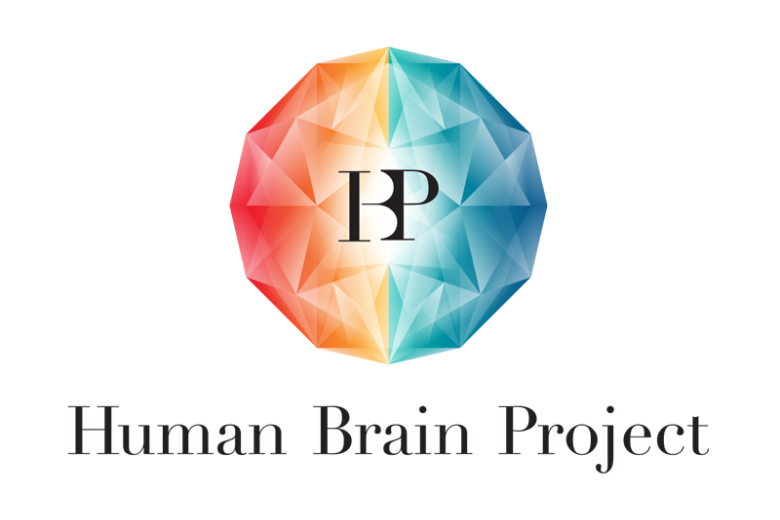 MaCSBio - Human Brain Project
