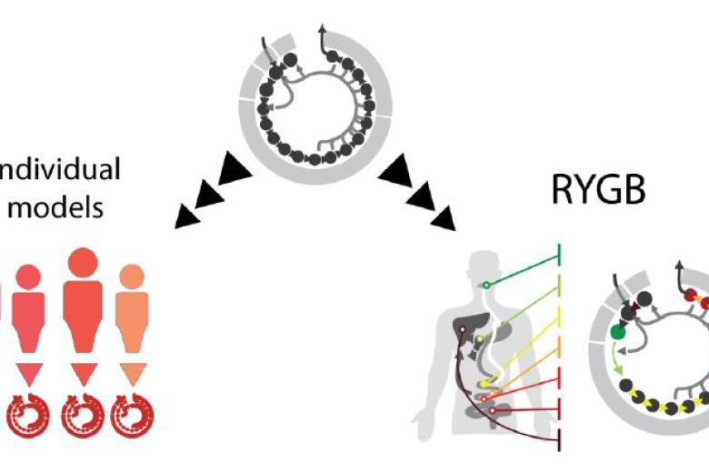 MaCSBio Lecture Series