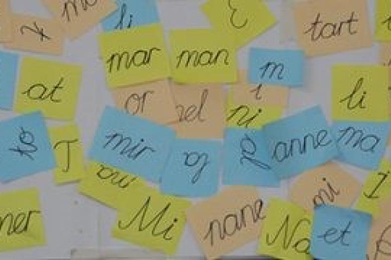 Multilingualism
