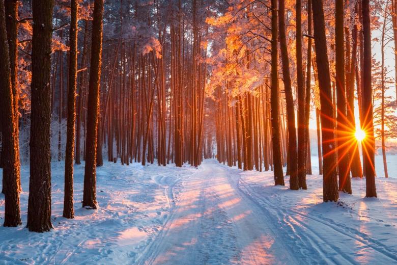 nature_walk.jpg