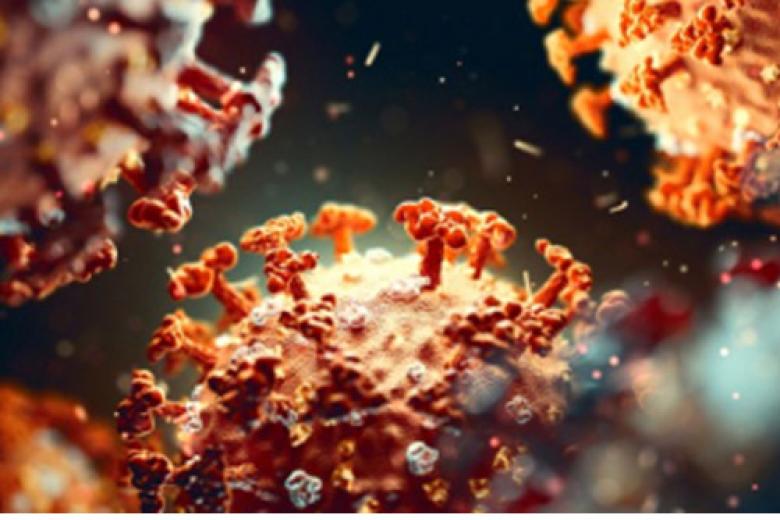 COVID-19 Virus