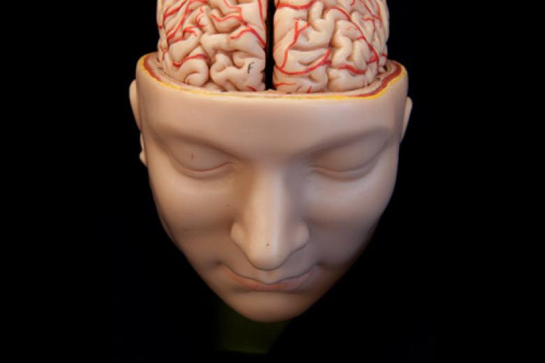 Human Brain Project