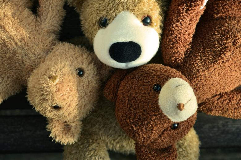bear doctors