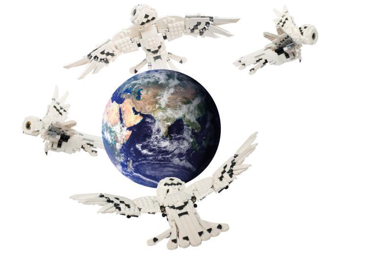 Digital owls circling around planet earth