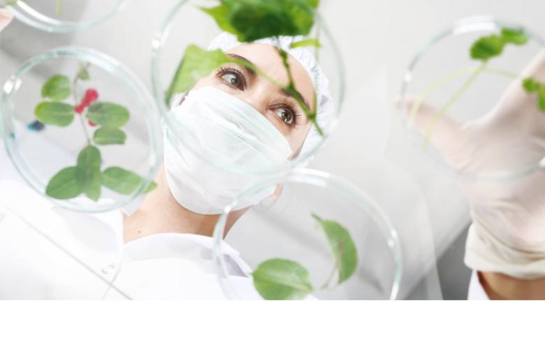 Yvonne van der Meer joins Bio-Based Industries Joint Undertaking