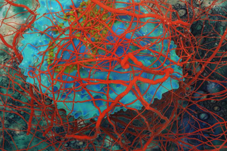 immunotherapy to fight cancer
