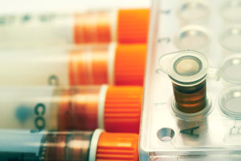 immunotherapy to fight cancer